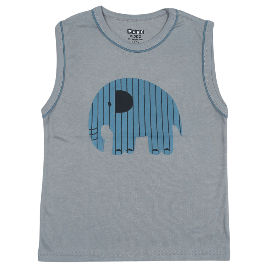 Boys Sleeveless T-shirt & Shorts - Grey & Blue