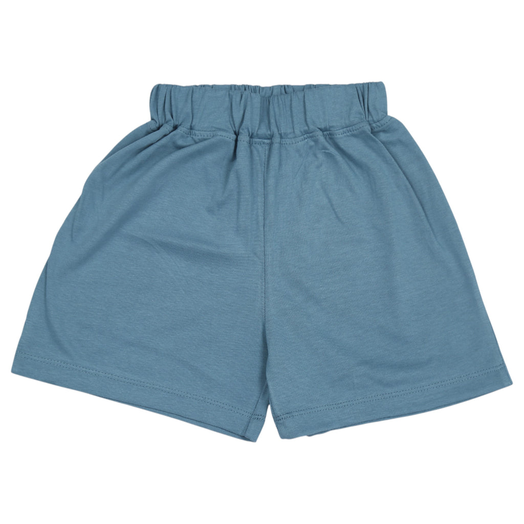 Boys Sleeveless T-shirt & Shorts - Grey & Blue